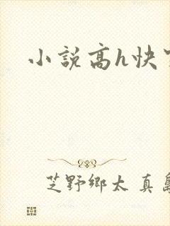 小说高h快穿