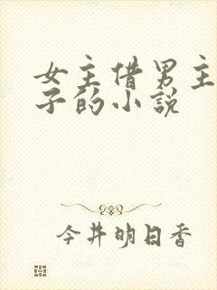 女主借男主生孩子的小说