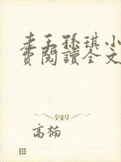 老王孙琪小说免费阅读全文最新章节