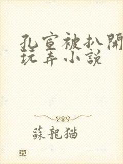 孔宣被扒开双腿玩弄小说封面