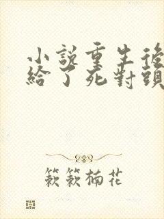 小说重生后我嫁给了死对头完整版