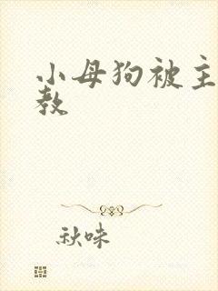 小母狗被主人调教