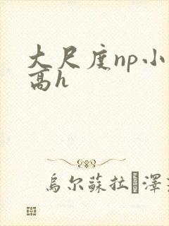 大尺度np小说高h封面