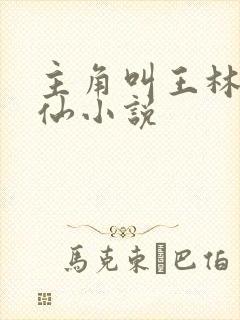 主角叫王林的修仙小说封面