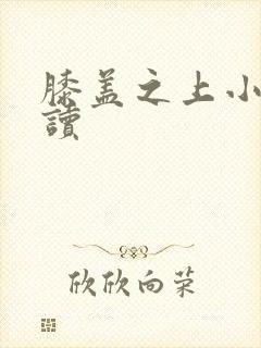 膝盖之上小说阅读