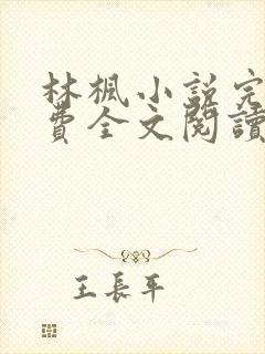 林枫小说完结免费全文阅读