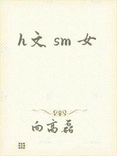 h文 sm 女