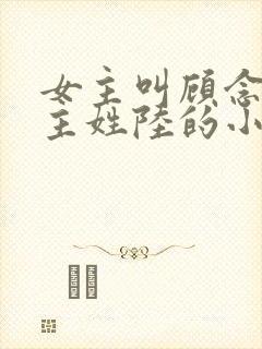 女主叫顾念念男主姓陆的小说