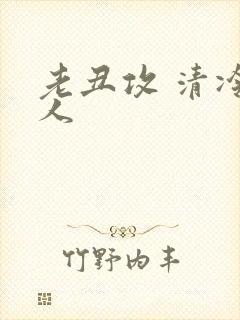 老丑攻 清冷美人