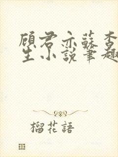 顾君亦苏杳国防生小说笔趣阁免费