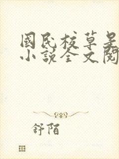 国民校草是女生小说全文阅读