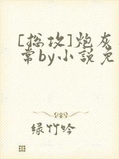 [总攻]炮灰日常by小说免费阅读