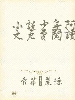 小说少年阿斌全文免费阅读