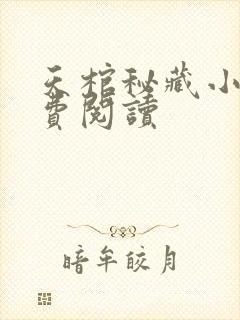 天棺秘藏小说免费阅读