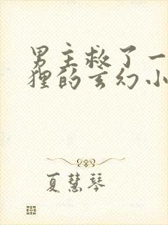 男主救了一只狐狸的玄幻小说封面