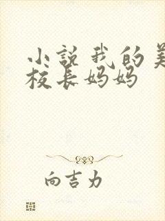 小说 我的美艳校长妈妈