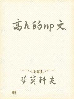 高h的np文