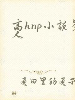 高hnp小说多人封面