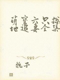 萌宝六只总裁爹地追妻全集