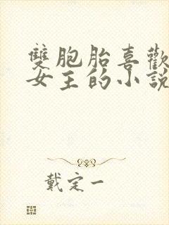 双胞胎喜欢一个女主的小说