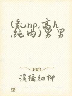 (乱np,高h,纯肉)男男