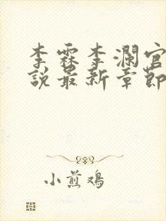 李霖李澜官场小说最新章节