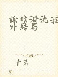 谢明漪沈淮舟番外结局