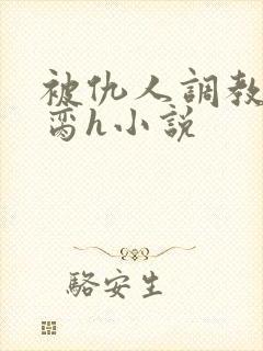 被仇人调教成禁脔h小说