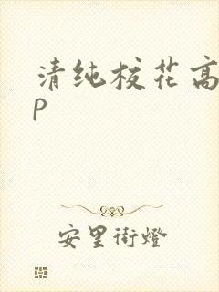 清纯校花高hnp