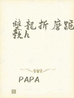 双龙折磨跪趴调教h