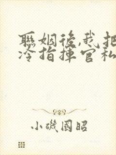 联姻后,我把高冷指挥官私藏了