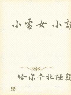 小处女 小说