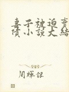 妻子被迫卖身还债小说大结局