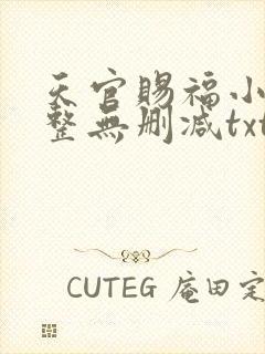 天官赐福小说完整无删减txt下载