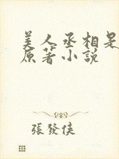 美人丞相是病娇原著小说封面