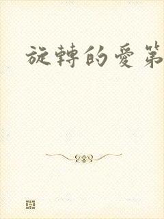 旋转的爱第三部