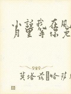 小说我在风花雪月里等你免费阅读封面