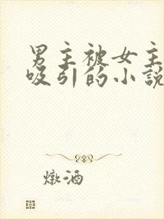 男主被女主深深吸引的小说