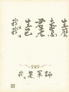 我生君未生君生我已老怎么回复