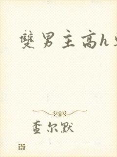 双男主高h车文封面