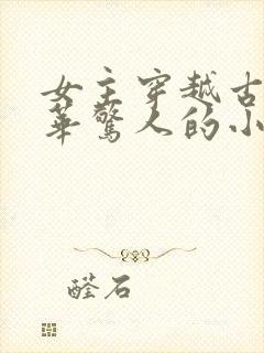 女主穿越古代才华惊人的小说封面