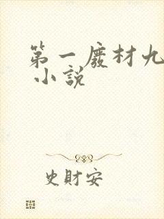 第一废材九小姐 小说
