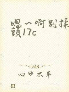 嗯～啊别揉我奶头17c