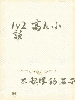 1v2 高h小说