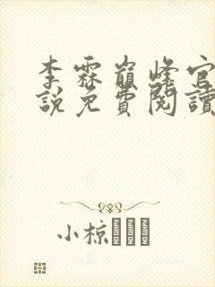 李霖巅峰官场小说免费阅读无弹窗封面