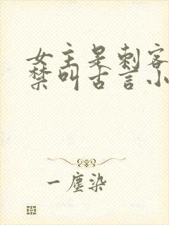 女主是刺客被囚禁叫古言小说