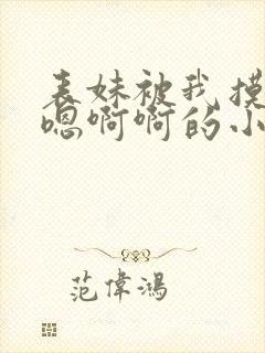 表妹被我摸的嗯嗯啊啊的小说封面