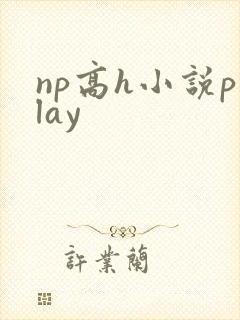 np高h小说play