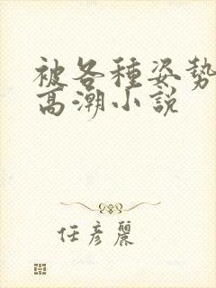 被各种姿势c到高潮小说