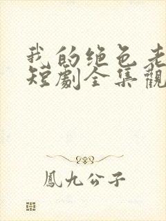 我的绝色老板娘短剧全集观看免费